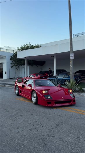 The pinnacle of Ferrari🏎️🌴 #ferrari #f40 #miami #ferrarif40 | Ferrari Cars