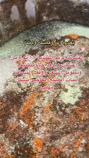 Exploring Corroded Metallic Surfaces in Detail