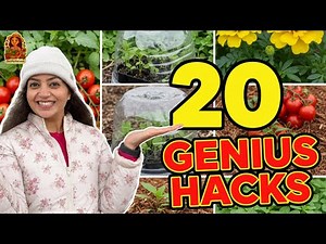 10X Your Plant Growth! 🌱 20 Beginner to Pro Gardening Hacks You Must Know