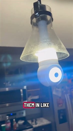 Luna AI Light Bulb Camera (Review)