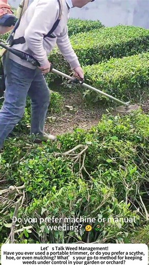 Clearing Orchard Weeds with a Portable Trimmer – Fast, Efficient, and Satisfying! 🌿🔧