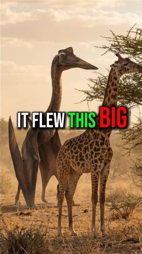 The Largest Flying Creature to ever exist 💀