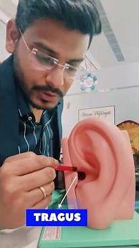 EXTERNAL EAR #medical #nursing #medicine #roymeds #education #learn #viralshorts #mbbs #norcet