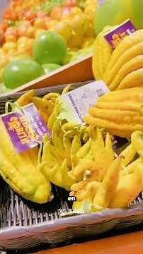 BUDDHA'S HAND 🍋✨ The most EXOTIC citrus fruit you can grow at home