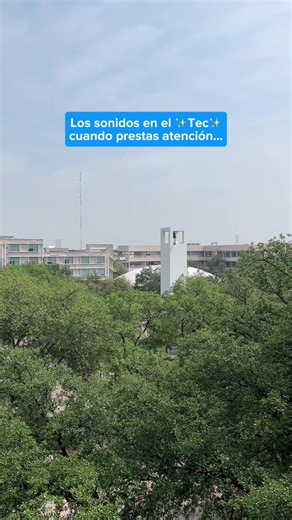 Tomémonos el tiempo de escuchar: sonidos para relajar la mente