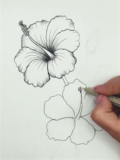 How I Made this Quick and Easy Hyper-Realistic Hibiscus Flowers #drawing #art