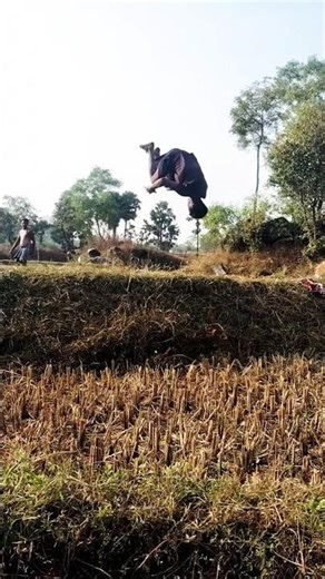 flip life ⚠️😔 #flipper