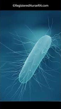 NCLEX Review Question and Answers: Infection Control with C. Diff