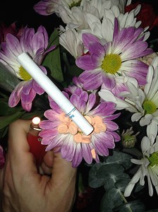 How Instagram Is Changing the Art World