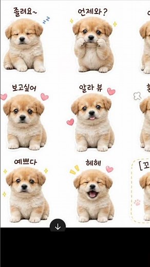 강아지 사진이 카톡 이모티콘이 되는 순간🐶✨