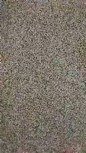 a distorted footage from the other universe.