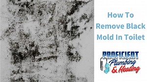 How to Remove Black Mold in Toilet - Proficient Plumbing & Heating
