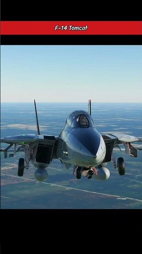 F-14 Tomcat Unleashes Its Landing Gear | Iconic Jet in Action!