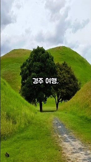 복잡할 줄 알았죠🚗 경주 여행, 사실 이렇게 간단해요