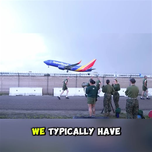 Exploring Navy Life: Boot Camp and Military Discipline