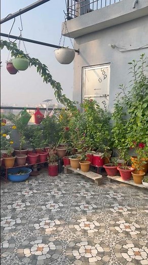 Beautiful Terrace Garden | Small Space Garden Inspiration | Peaceful Green Corner #terracegarden