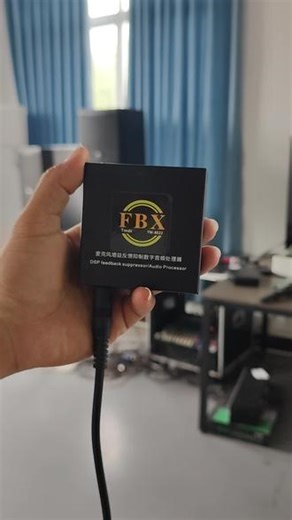 户外演出总啸叫？这个小玩意帮你搞定！ 智能自动防啸叫，双话筒输入支持多人欢唱，Type-C充电还能边充边用，巴掌大揣兜里就走，家用会议演出都合适！#好物推荐🔥 #新品上市 #新品上新 #居家好物 #麦克风