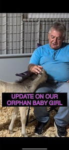 4K reactions · 60 shares | ❤️ UPDATE ON OUR ORPHAN BABY GIRL ...