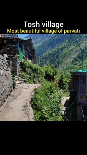tosh today | tosh village himachal | manali tourist places | kasol live today | manali weather today
