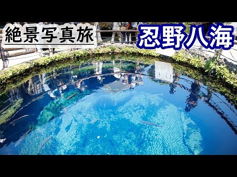 【山梨旅行】忍野八海の8つの池を全部周ってみたら絶景に出会えた,湧水地の名水百選- Mt.Fuji spring water,Oshino Hakkai
