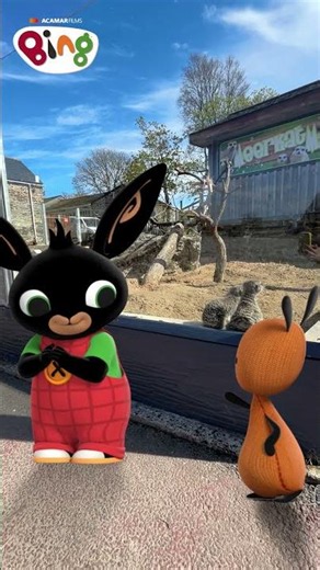 Bing and Flop are ready to meet, at Camel Creek! | #Shorts | Bing Shorts