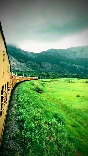 One of the Amazing Train Routes in Amazing India Palakkad - Coimbatore #amazingindia #trainjourney #incredible #incredibleindia #indian #india #coimbatorediaries #palakkad #kerala #keralqm #tamilnadutourism #tamil #malayalam ©️ akshay.shan__ | Amazing India