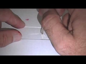 Preparing a wet mount slide