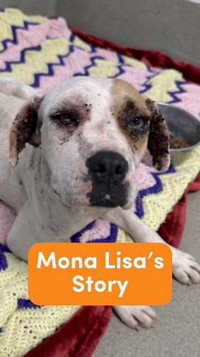 1.2K views · 44 reactions | Mona Lisa was one of the most severe...