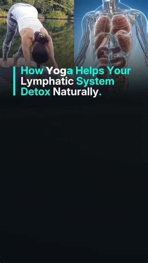 Yoga Tips 🧘‍♀️🧘‍♂️ Yoga Fun on Instagram: "The real key to lymphatic drainage is your breath 💚 Deep, slower breathing creates internal pressure changes that help the lymph move through its channels. This is why gentle yoga feels so cleansing, it’s the combination of soft movement + deeper breath that wakes the system up. Twists, slow flows, and even simple neck stretches encourage lymph to move, which can reduce puffiness, inflammation, and that “heavy” tired feeling we all get sometimes. And