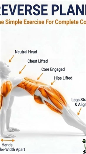 Master the Reverse Plank: The Ultimate Posterior Chain Move