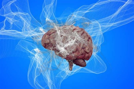 Plasticidad cerebral: el superpoder biológico que está redefiniendo la ciencia de la mente