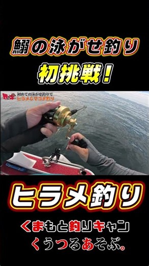 ヒラメを狙って初挑戦の泳がせ釣りをやってみた！ #ヒラメ #釣り #泳がせ釣り
