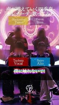 【新人歌い手グループ】声が増えていく四重奏で『セレナーデ』を歌ってみた【アカペラ】 #なとり #セレナーデ #el6