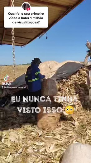 Behind the Scenes of Corn Processing on the Farm