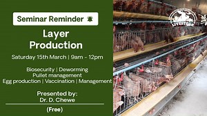 3.3K views · 45 reactions | Boost Productivity with Effective Layer...