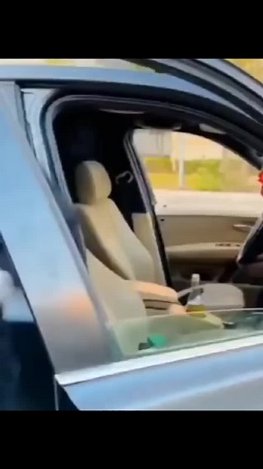 فتح يا حيوان: أغنية عبد الباسط حموده