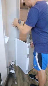 754 reactions · 206 shares | Tired of worrying about your pet's safety? Keep your furry friends safe with our pet door mesh  ✅ Durable and pet-proof ✅ Easy to install ✅ Retractable design ✅ Stylish and discreet | Animal Tales | Facebook