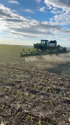 5.4K views · 83 reactions | #JohnDeere See & Spray technology at work on corn. Advanced camera detection allows you to target weeds precisely. Less herbicide cost, more profitability. : Mike Haman #farm #farming #agriculture | Leading Edge Equipment | Facebook