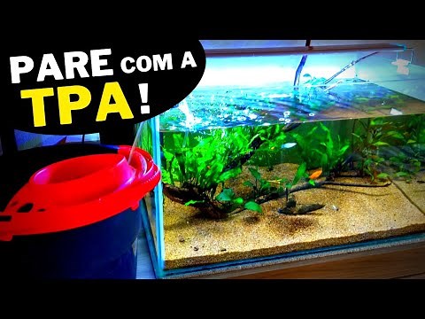 6 Common Mistakes Beginner Aquarists Make