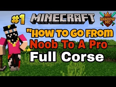 "From Noob to Pro in Minecraft: The Ultimate Survival & Building Course" #01