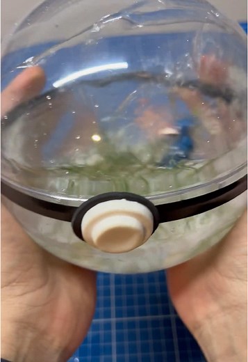 Paraíso Pokémon 055 Golduck | missingno pokemon