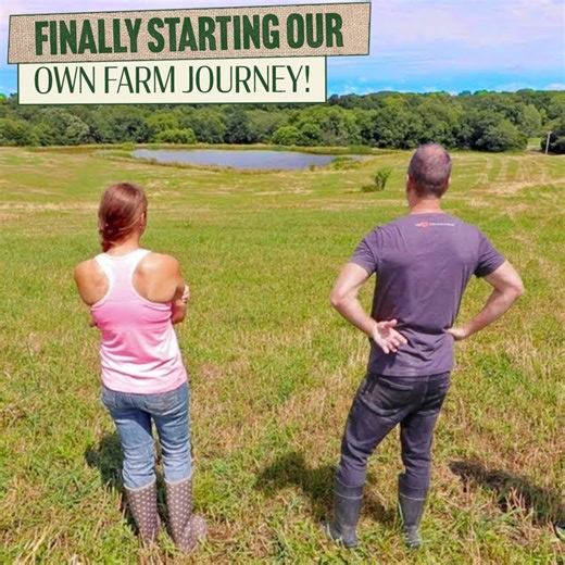 78K views · 2.7K reactions | We've Bought A Farm - Let's Take A Tour | White House on the Hill | Facebook