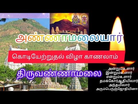 திருவண்ணாமலை அண்ணாமலையார் திருக்கோயில் பந்தக்கால் நடும் திருவிழா