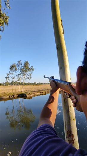 Perfect Long Shot 🔥 Heron Hunting With Airgun 😎 #airgunhunting #heronhunting #birdhunting #shorts