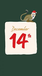 Day 14: Elephant Christmas Fun! 🐘 Our elephant herd had the best time hunting down, and mostly destroying, their Christmas trees! The ultimate festive enrichment. #howletts #elephants #christmas #kent | Howletts Wild Animal Park