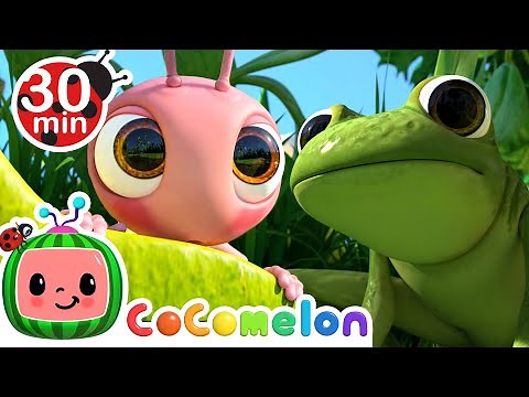 Row, Row, Row Your Boat - Ant Version | CoComelon Furry Friends | Animals for Kids