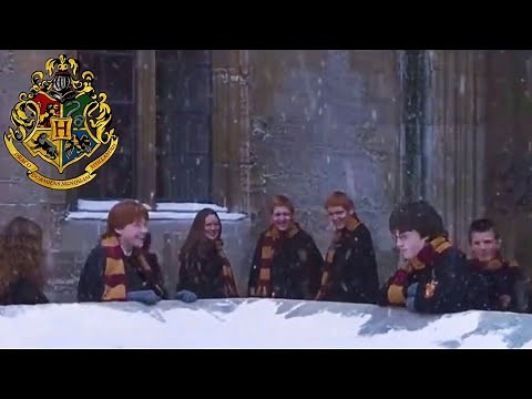 Harry Potter: “Fred & George Bully Harry” (Deleted / Extended Scenes)