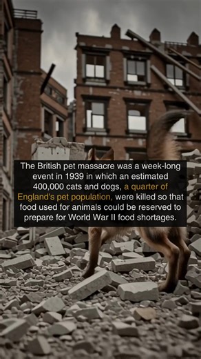 Reminder that rationing in Britain didn't end until 1954, after the Korean War! | War History Online