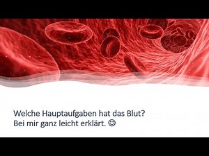 Blut - Welche Aufgaben hat das Blut?
