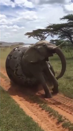 😱 Giant Snake Wrapped Around an Elephant! Real or AI?